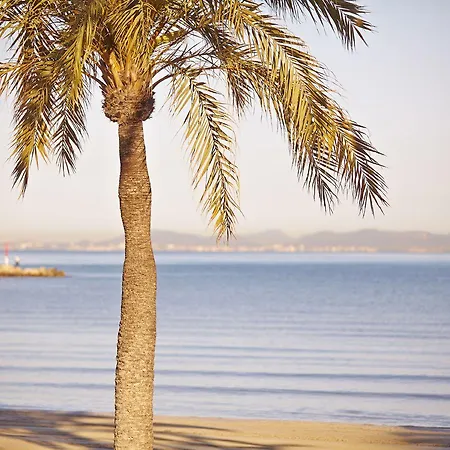 Mll Mediterranean Bay - Adults Only 4* El Arenal