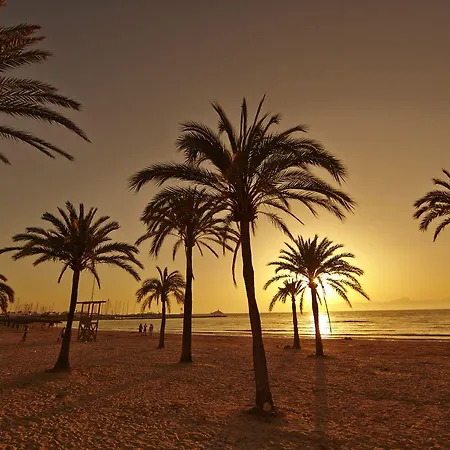 Mll Mediterranean Bay - Adults Only El Arenal