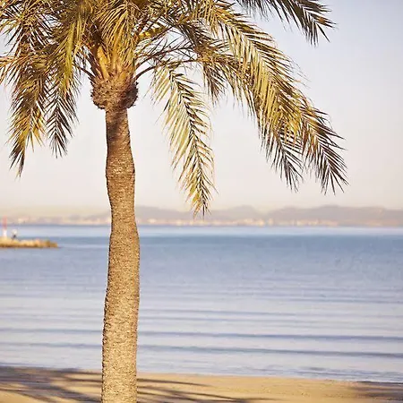 فندق Mll Mediterranean Bay - Adults Only إل أرينال