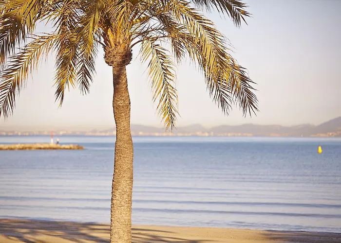 Mll Mediterranean Bay - Adults Only 4* El Arenal (Mallorca)