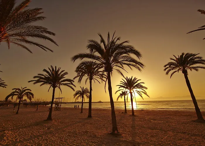 Mll Mediterranean Bay - Adults Only El Arenal (Mallorca)